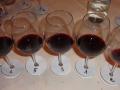 I vini degustati alla 