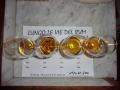 I rum in degustazione
