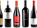 I vini Marenco in degustazione